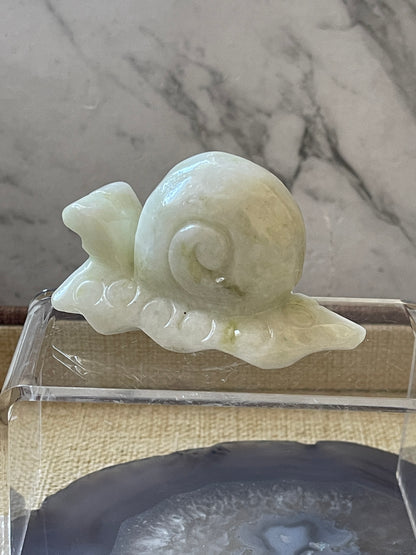 Afghan Jade Snail  Carving