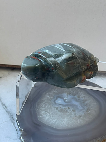 African Bloodstone Turtle Carving