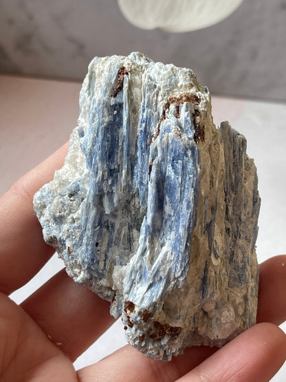 Kyanite Crystal Specimen