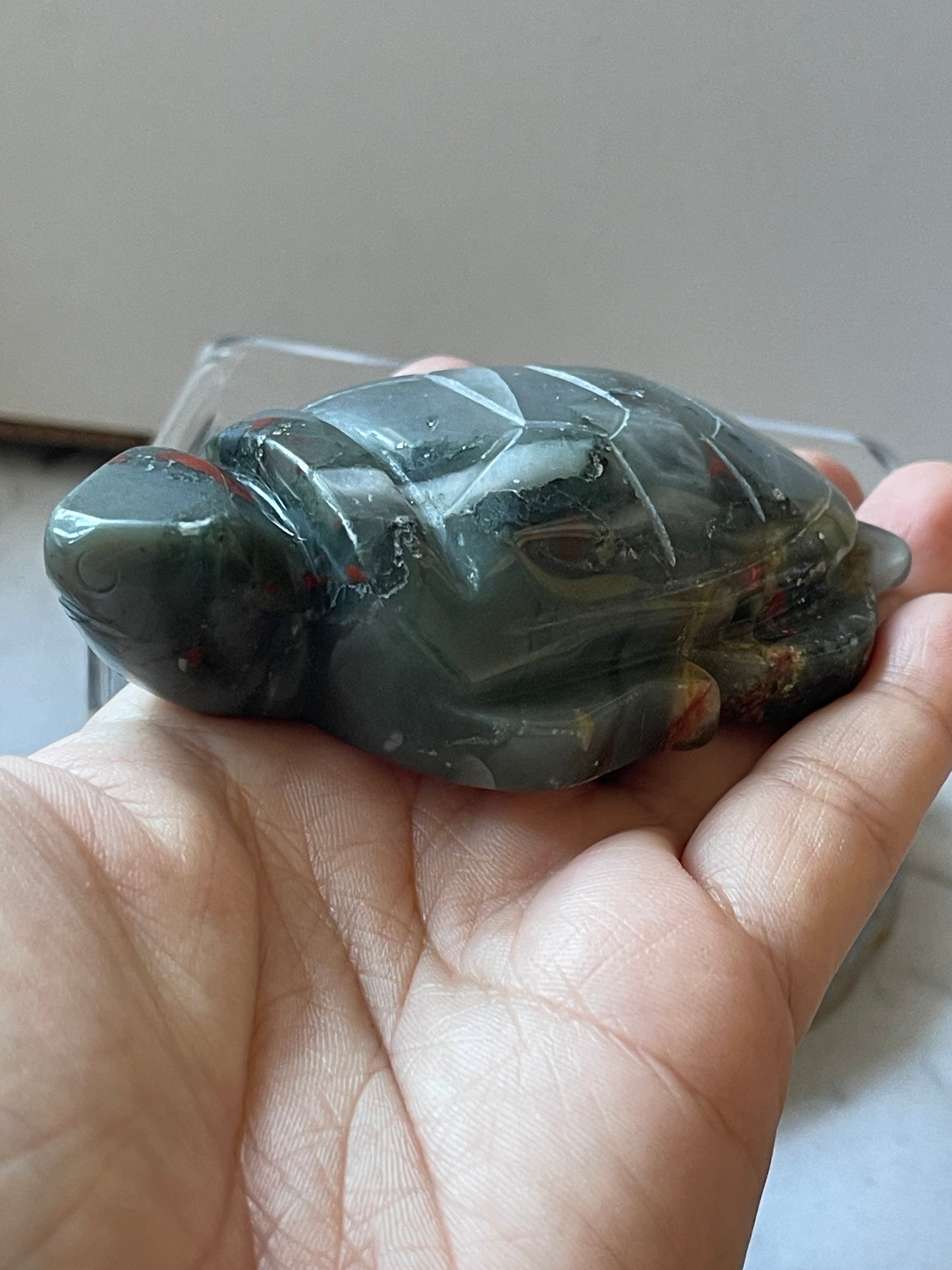 African Bloodstone Turtle Carving