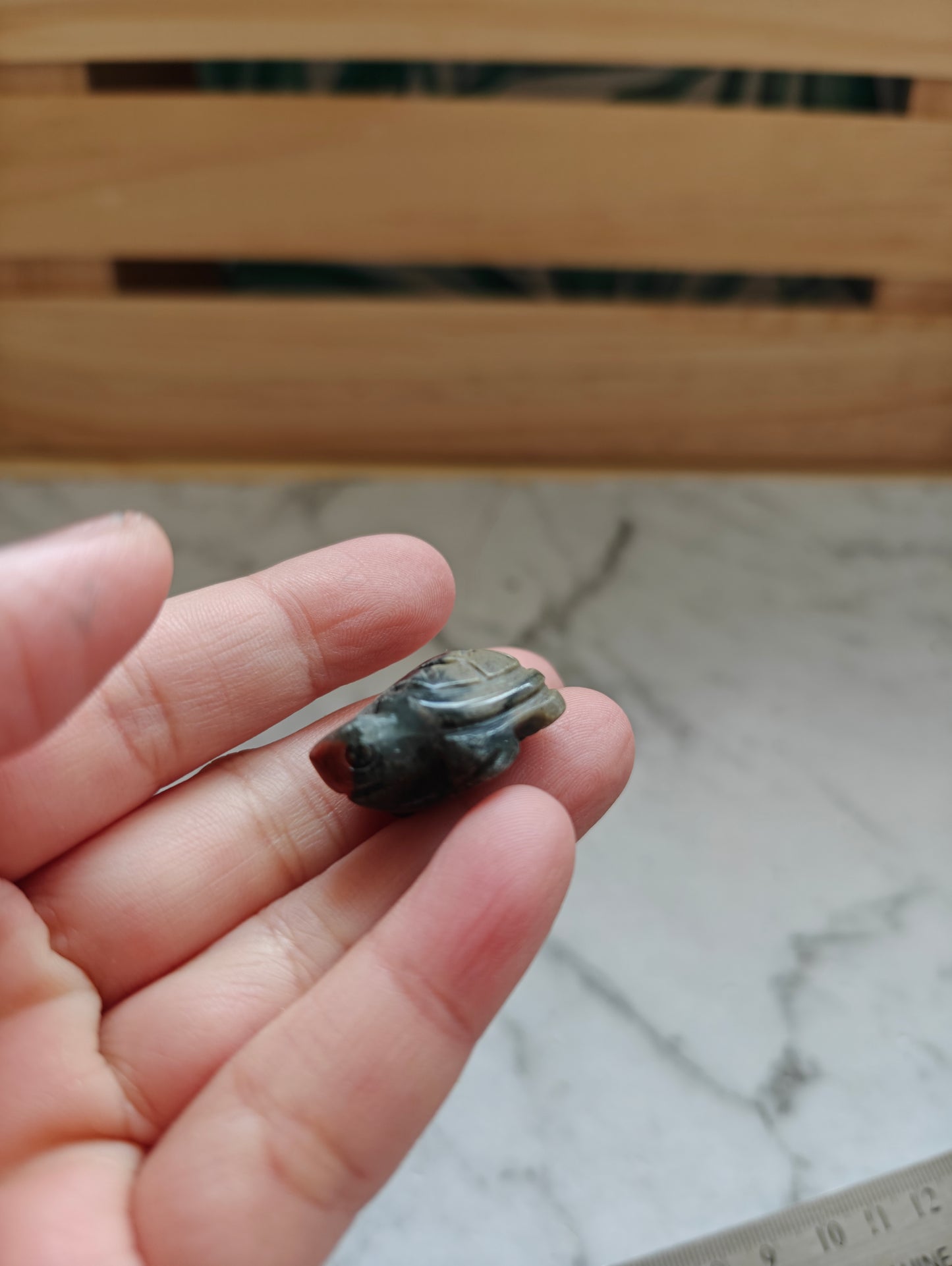 Crystal Mini-Carving Turtle African Bloodstone