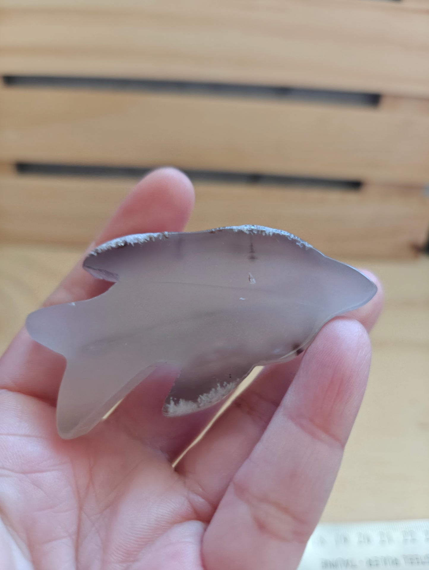 Agate Dolphin Crystal Carving