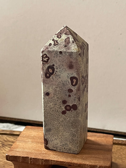 Picture Jasper Crystal Point