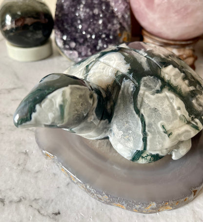 Moss Agate Druzy Turtle Crystal Carving