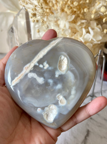 Orca Agate Heart Druzy with Display Holder